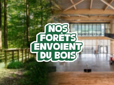 Nos forêts envoient du bois